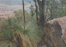 Mount Lawson State Park - Accommodation Broome 0