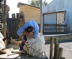 Boggy Creek Shows - Accommodation Broome 4