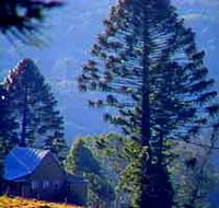 Bunya Mountains National Park - Accommodation Broome