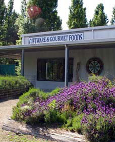 Crisp Galleries - Accommodation Broome 0