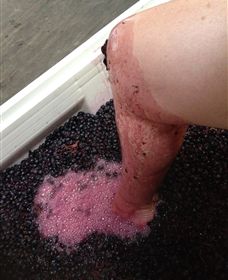 Billy Button Wines - Accommodation Broome 1