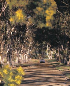 Wickepin ACT Accommodation Broome