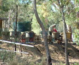 7 Oaks Sapphire Fossicking - Accommodation Broome 0