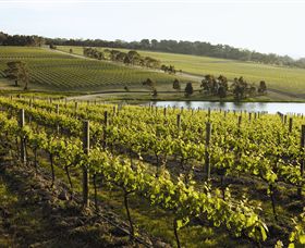 Yabby Lake Vineyard & Cellar Door - Accommodation Broome 7