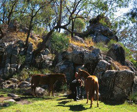  Accommodation Broome