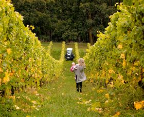 Polperro Winery - Accommodation Broome 7