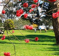The Yass Golf Club - Accommodation Broome