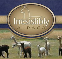 Marchmont Park Alpacas - Accommodation Broome