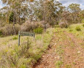 Old Mountain Road Walking Track - Accommodation Broome 0
