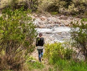 Old Mountain Road Walking Track - Accommodation Broome 1