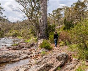 Old Mountain Road Walking Track - Accommodation Broome 2
