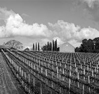 Willow Creek Vineyard - Accommodation Broome
