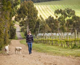 Willow Creek Vineyard - Accommodation Broome 1