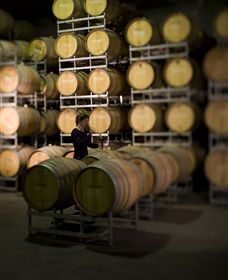 Willow Creek Vineyard - Accommodation Broome 2