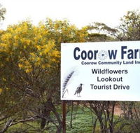 Coorow Farm Wildflower Trail - Accommodation Broome