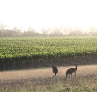 Small Forest Wine - Accommodation Broome