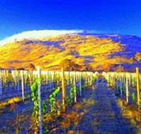 Surveyors Hill Winery - Accommodation Broome