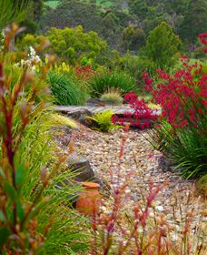 Ungulla Country Garden - Accommodation Broome 1