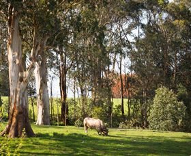 Ungulla Country Garden - Accommodation Broome 8