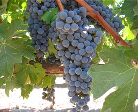 Joshuas Fault Wine - Accommodation Broome 0