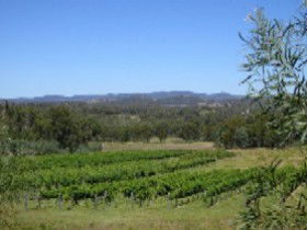 Pyramids Road Wines - Accommodation Broome 3