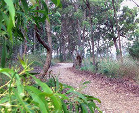 Mount Mutton Walking Trail - Accommodation Broome 0