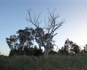 Cooleman Ridge - Accommodation Broome 1