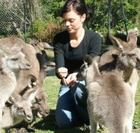 Canons Shuttles Day Tours - Accommodation Broome