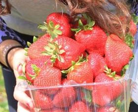 Mia Cucina Walking Food Tours - Accommodation Broome 5