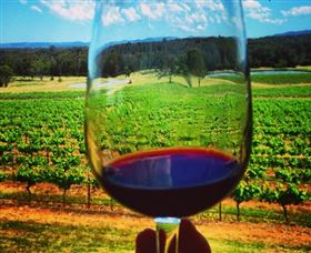 One Day Hunter Valley Day Tours And East Coast Adventures - Zepher Tours - Accommodation Broome 4
