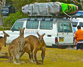 Surfaris Surf Camp - Accommodation Broome 3
