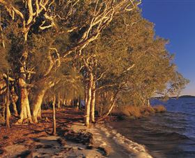 East Coast Adventure Bus - Accommodation Broome 2