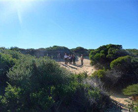 Dingo Tours - Accommodation Broome 7