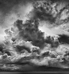 Annandale Galleries - Accommodation Broome 0
