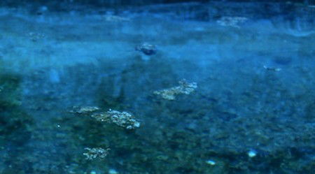 Anna Schwartz Gallery Sydney - Accommodation Broome 2