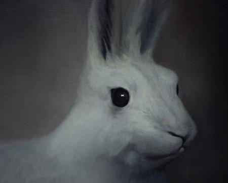 Gallery 9 - Accommodation Broome 2