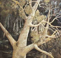 Ku-Ring-Gai Art Centre  Gallery - Accommodation Broome