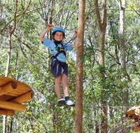 TreeTops Newcastle - Accommodation Broome