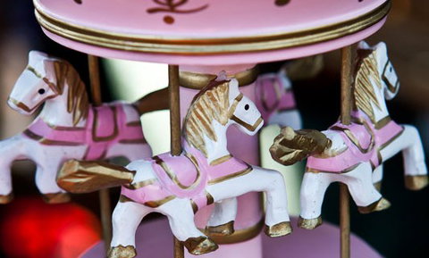 Newcastle City Farmers Markets - Accommodation Broome 0