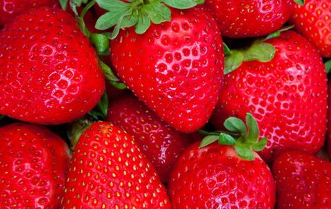 Newcastle City Farmers Markets - Accommodation Broome 2