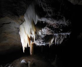 Country Charmâ„¢ Discovery Tours - Accommodation Broome 1