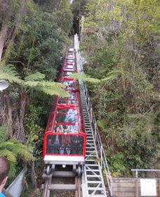 Country Charmâ„¢ Discovery Tours - Accommodation Broome 6