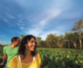 AAT Kings Guided Tours (Top End) - Accommodation Broome 3
