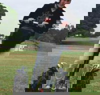 Segway Tours Australia - Accommodation Broome