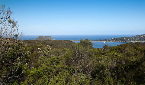 Aboriginal Heritage Walk - Accommodation Broome 1