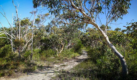 Aboriginal Heritage Walk - Accommodation Broome 2