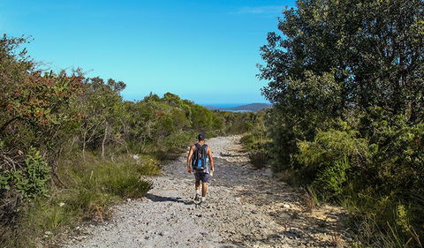 Aboriginal Heritage Walk - Accommodation Broome 3