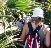 Palm Jungle loop track - Accommodation Broome
