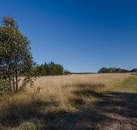 Scheyville horse riding trails