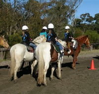 Darkes Forest Riding Ranch - Accommodation Broome